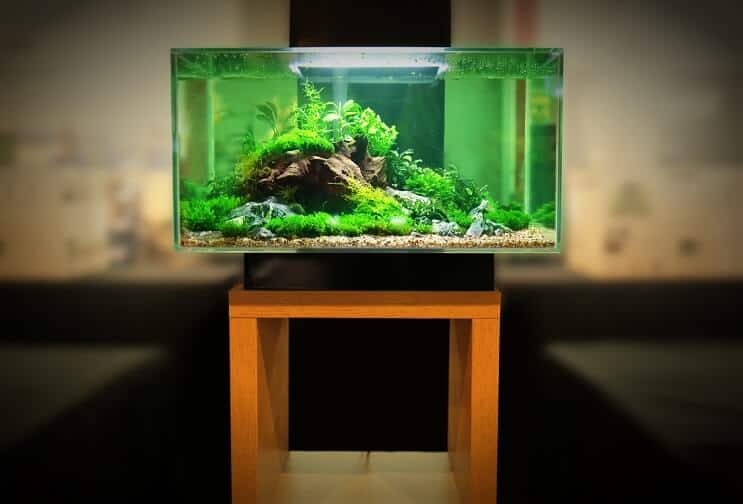 30 Galon Tank Ekipmanı
