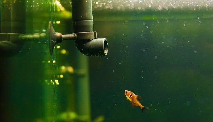 15 Galon Tank Filtresi
