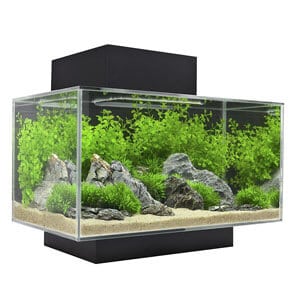 Fluval Edge Akvaryumu