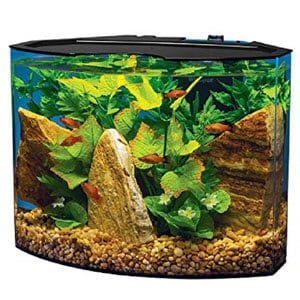 Tetra Crescent Akvaryumu