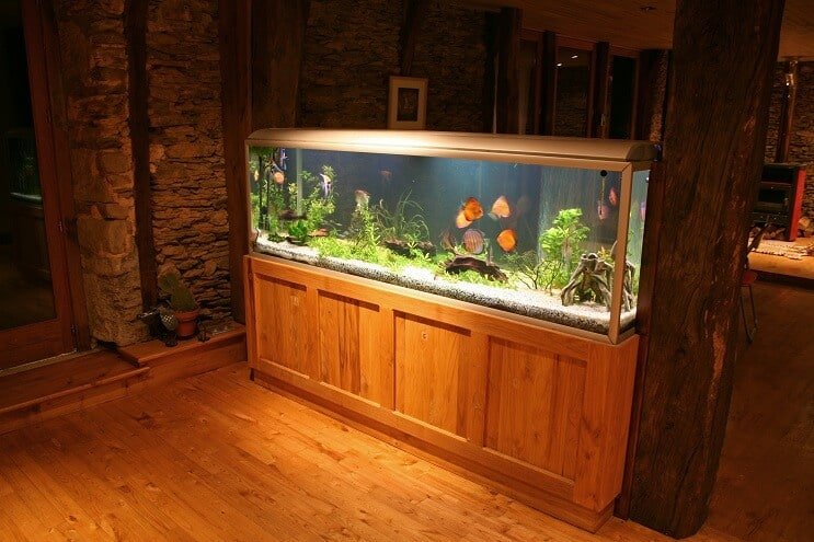 Discus Tankı UV Sterilizatörü