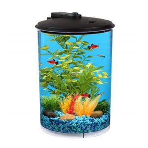 Koller Aquaview 3 Galon Tankı