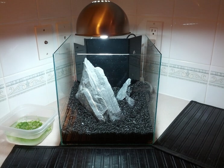 3 Galon Tank Kurulumu
