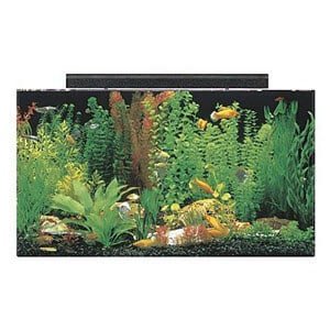 En Uygun Fiyatlı 50 Galon Tank
