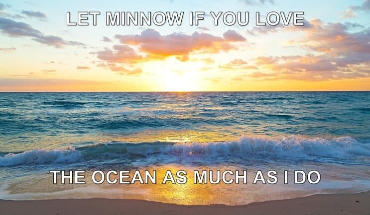 Minnow'a izin ver