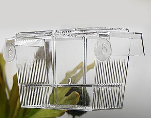 PETS ISLAND Akvaryum Balıkları Yetiştirme Kutuları Çift Lepistes Kuluçka Kuluçka Makinesi İzolasyon Kutusu (7,7 inç)