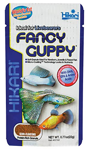 Hikari Tropical Fancy Lepistes Balık Yemi, 0.77 oz (22g)