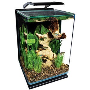 Küçük Akvaryum Tezgah Üstü Paludarium için İdeal