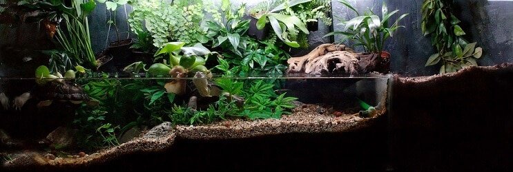 Paludarium Tesisleri